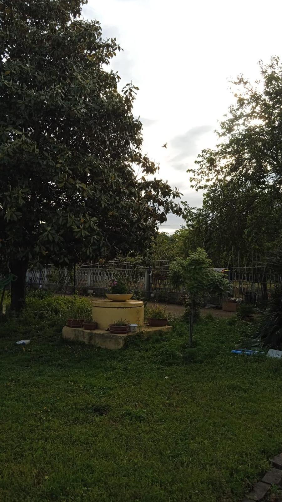 شقة Casina Maria روما المظهر الخارجي الصورة